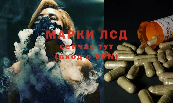 прущие крисы Нефтекумск