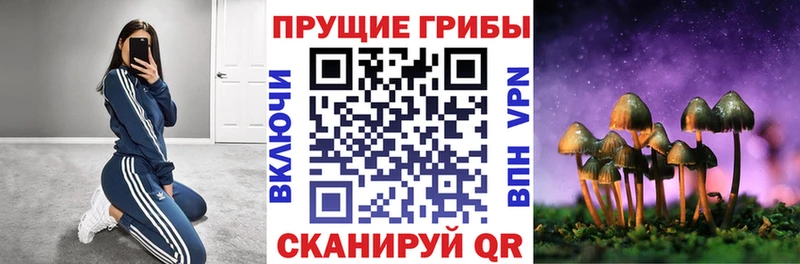Галлюциногенные грибы мухоморы  МЕГА tor  Камбарка 